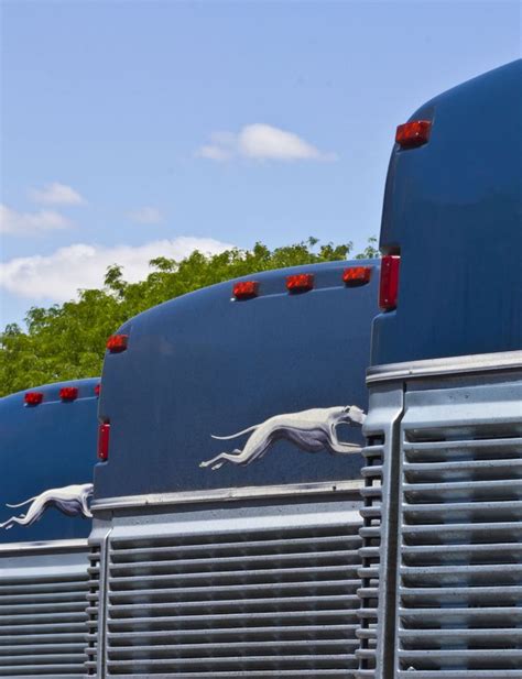 greyhound channel secure online.